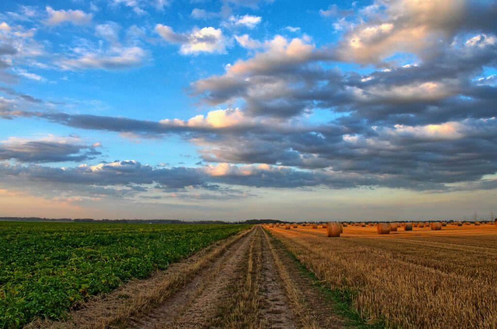 field, road, rural-213364.jpg